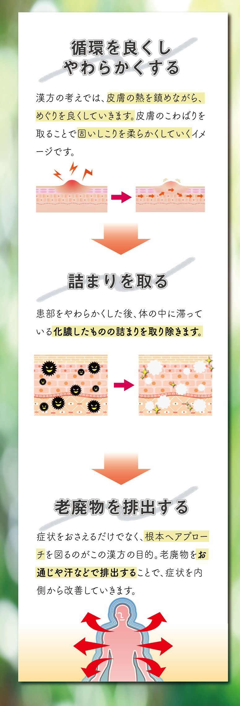 循環を良くしやわらかくする、漢方の考えでは、皮膚の熱を静めながら巡りを良くしていきます。皮膚のこわばりを取ることで固いしこりをやわらかくしていくイメージです。詰まりを取る、患部をやわらかくした後、体の中に滞っている化膿したものの詰まりを取り除きます。老廃物を排出する。症状をおさえるだけでなく、根本からアプローチを図るのがこの漢方の目的。老廃物をお通じや汗などで排出することで、症状を内側から改善していきます。