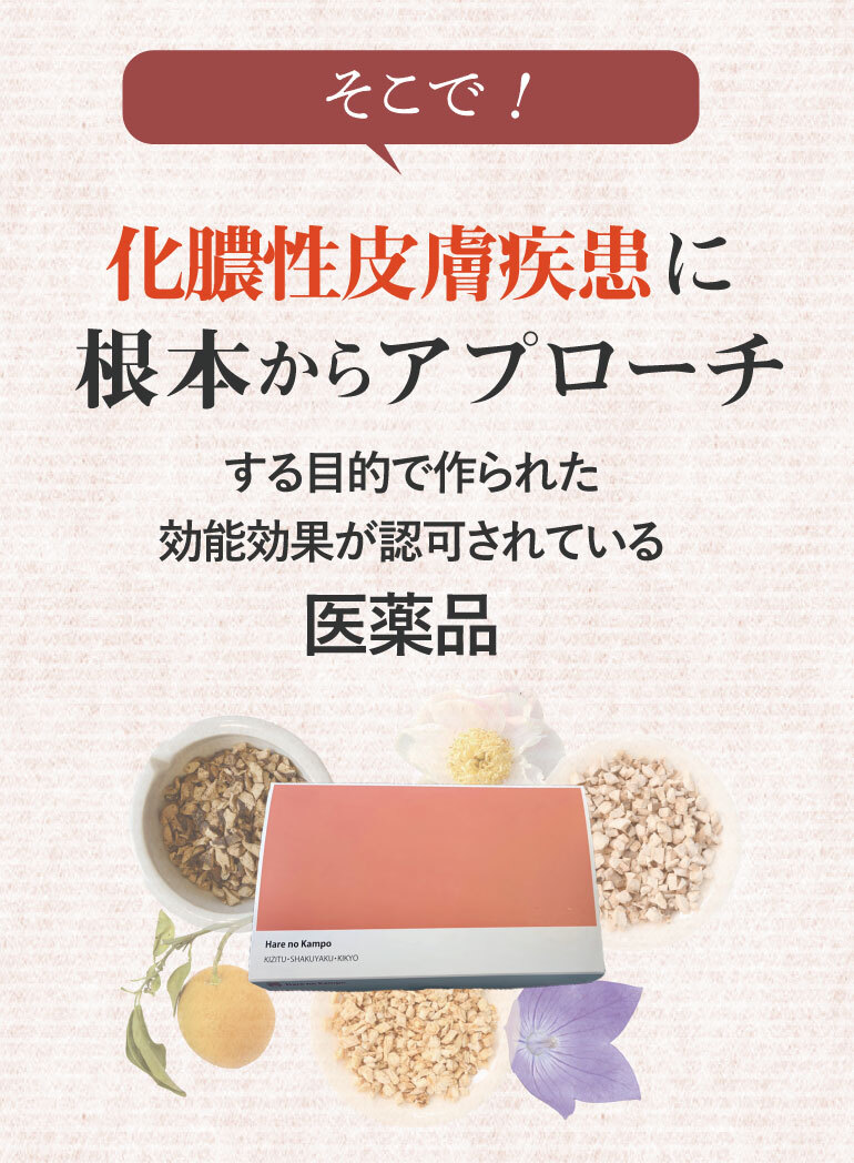 そこで！化膿性皮膚疾患に根本からアプローチする目的で作られた効能効果が認可されている医薬品、大人ニキビ、ニキビ、第二類医薬品