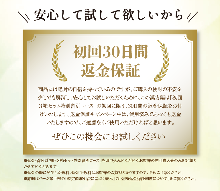 30日間返金保証付き