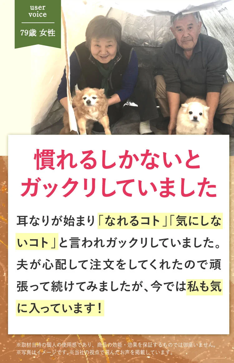 ヴォイス１