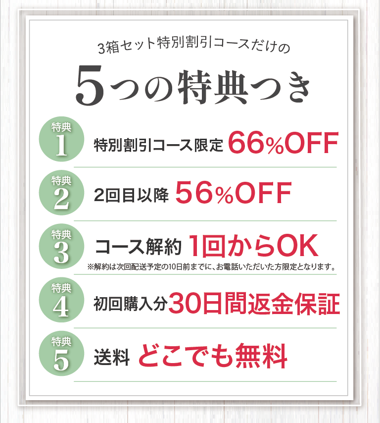 30日間返金保証を始めとした5つの特典がついてくる