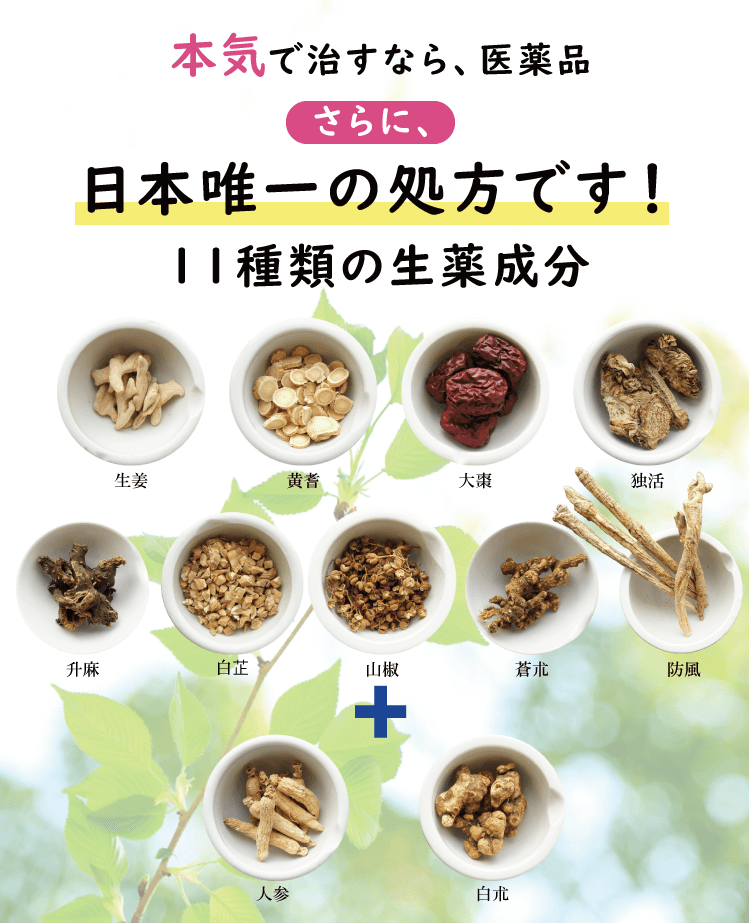 日本唯一の処方11種類の生薬,鼻　漢方薬,鼻　漢方,漢方薬,漢方,鼻水,鼻づまり